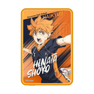 日向翔陽 Hinata Shoyo