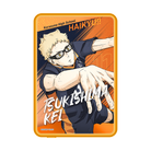 月島螢 Tsukishima Kei
